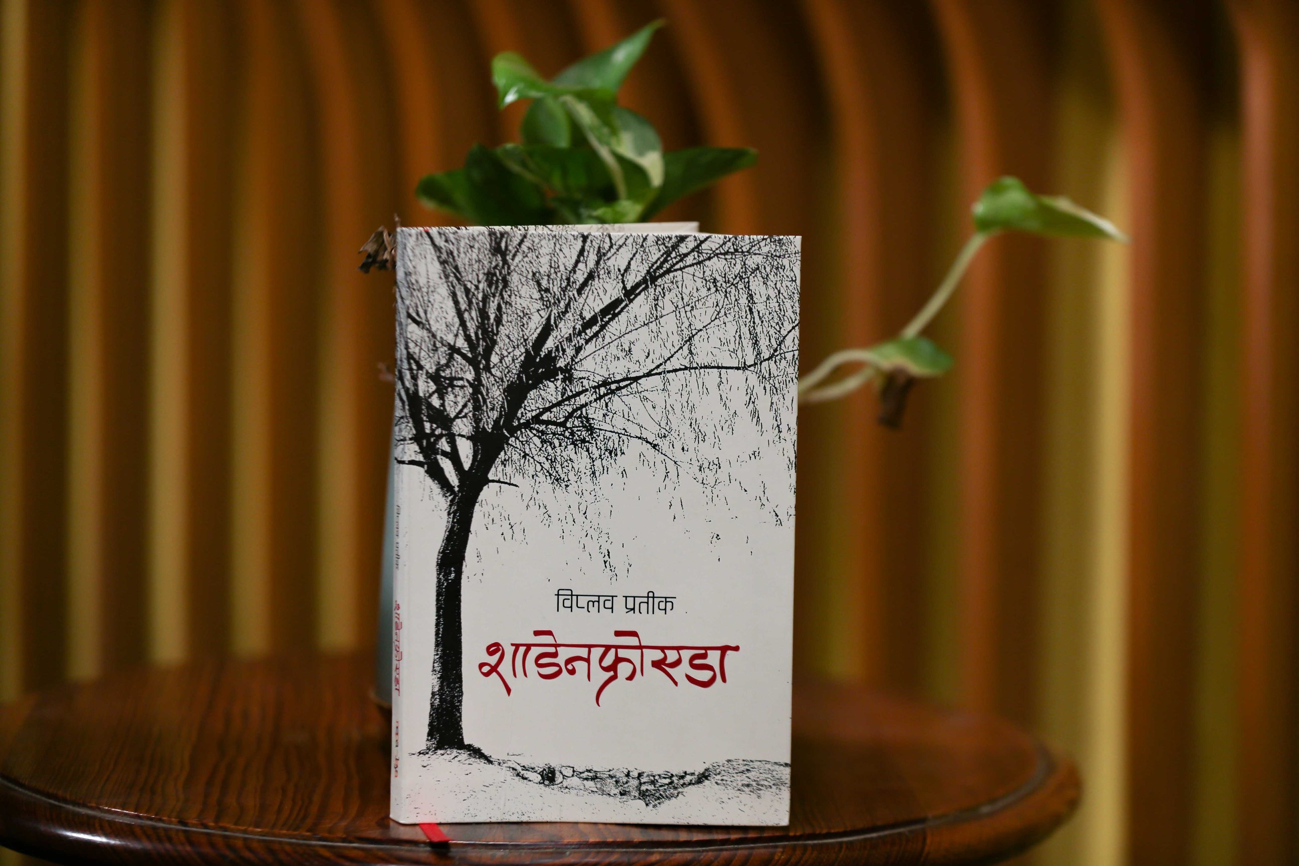 viplab pratik (5).jpg